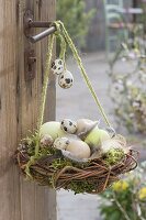Easter nest of twigs and moss, filled with Easter eggs