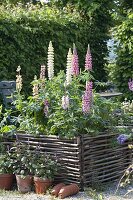 Gravel terrassse with raised beds made of hazelnut rods