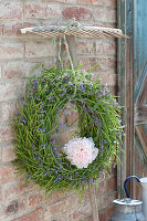 Seedles of Brassica napus (rape) wreath