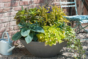 Concrete bowl with leaf decoration plants