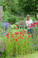 Early summer garden with poppy