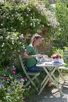 Kleiner Sitzplatz mit Rosa 'Pauls Himalayan Musk'