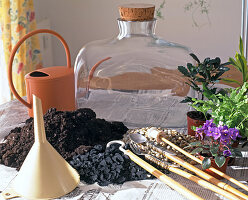 Planting a bottle garden