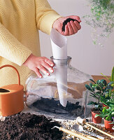 Step 2: Planting the bottle garden