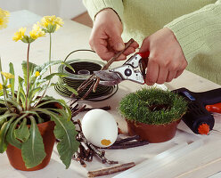 Easter decoration: Saginanest with wooden branches 1. step