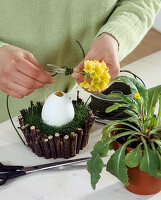 Easter decoration: Saginanest with wooden branches 5. step