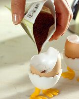Sowing cress in eggshell: sprinkle seeds on the cotton wool