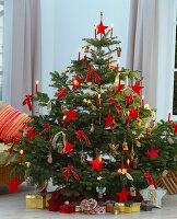 Abies nordmanniana, Nordmann fir with homemade wooden stars