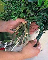 Tying a bouquet of vegetables (3/6)