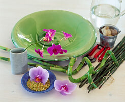 Arrangement with Lucky Bamboo Dracaena, Equisetum Field Horsetail