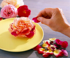 Tischdeko: Zweifarbige Rose, Rosenblüte mit Blättern von einer anderen Blüte