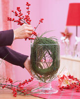 Amaryllis arrangement: Cytisus (broom), holly