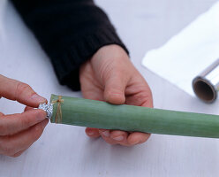 Hippeastrum with wooden stick: 3/3