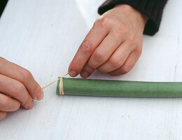 Hippeastrum with wooden stick (2/3)