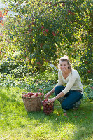Frau bei der Apfelernte im Garten