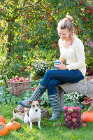 Woman at the apple harvest in the garden