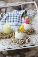 Tulips in egg shells and egg-shaped candles in straw Easter nests