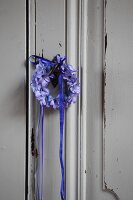 Small wreath of hyacinth florets with blue ribbon