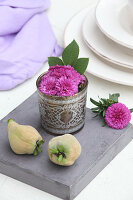 Pink asters in ornate drinking glass and two quinces