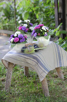 Posies of asters in coffee pots and milk jugs