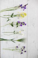 Cut cottage-garden flowers on white wooden boards
