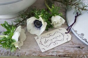 Hand-written tag next to anemones and larch twigs