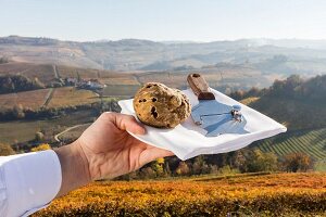 A hand holding a plate with a truffle and a truffle slicer in the Piedmont region of Italy
