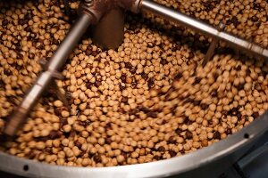 Hazelnuts being roasted in the Piedmont region of Italy