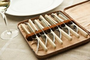 Antique fish knife and fork set in a case