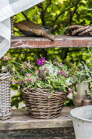 Bouquet of wildflowers in weathered wicker basket