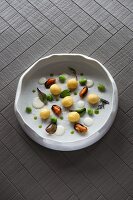 Gnocchi, Muscheln, dicke Bohnen und Thymian aus dem Restaurant 'D'O' in Mailand, Italien