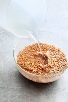 Roughly ground corn meal being soaked with boiling water (scald)