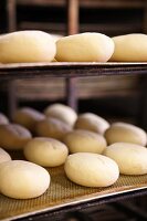 Bread rolls baking in the oven at a bakery