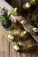 Easter muffins decorated with edible moss