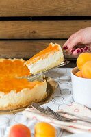Mandarin cream cake