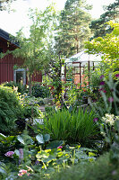 Pink water lilies in pond with wooden summerhouse in background