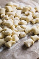 Freshly made ricotta gnocchi on baking paper dusted with semolina flour