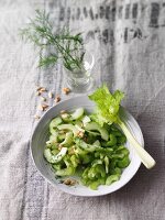 Gurkensalat mit Senf-Dill-Sauce