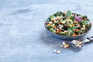 Kale and courgette salad with wasabi shoots and cashews
