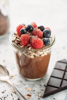 Coconut and chocolate yoghurt with oatmeal, nuts and berries (vegan)