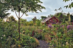 A garden with blossoming flowers and a wooden house in Blessington, Ireland