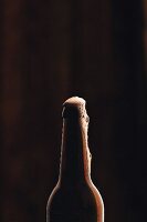 The neck of a beer bottle with beer frothing out of the top