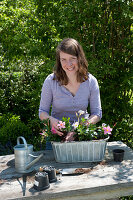 Zink-Jardiniere mit Mandevilla Sundaville 'Pink' 'White' bepflanzen :