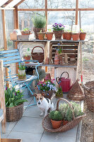 Early spring in the greenhouse