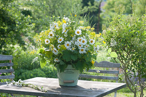 Weiß-gelber Strauß aus Leucanthemum vulgare ( Margeriten ), Erysimum