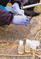 Postgraduate students conducting research: Taking water samples University of Rostock, Germany