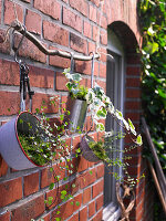 Kitchen utensils holding plants hung from branch on outside house wall