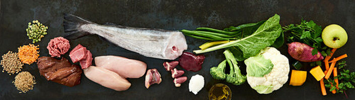 An arrangement of different foods (lentils, meat, fish, offal, vegetables and fruit as ingredients for dog food)