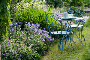 Small seat on the flower bed with geranium (Cranesbill)