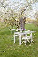 Festively set table under flowering apple tree in garden